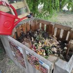 Kompostiranje za početnike: Kako da organski otpad pretvorite u izvor hranljivih materija za svoju baštu ili lokalni park