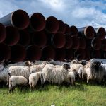 Sofija Đukanović – pobjednica iz Crne Gore na regionalnom fotografskom konkursu i predstavnica na prestižnom World Press Photo događaju u Amsterdamu