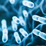 Razlike između virusne i bakterijske infekcije