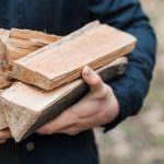 Ekološki značaj drva za ogrijev i pripreme za sezonu