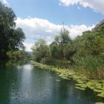 Svijet priznaje važnost močvara, ali im ne pruža dovoljno zaštite