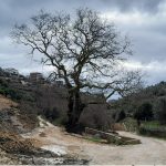 MSJA: Spriječiti dalju degradaciju kulturne baštine Ulcinja