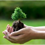 NA DANAŠNJI DAN: Međunarodni dan biološke kontrole